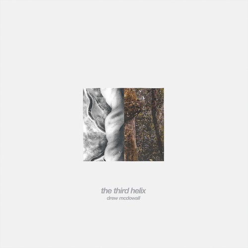 Cover art for The Third Helix