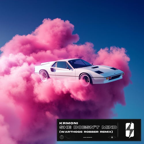 She Doesn't Mind (Warthogs Robber Remix)