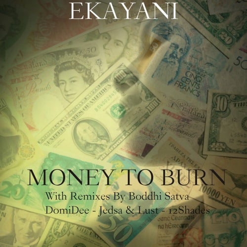 Money To Burn ( The Remixes )