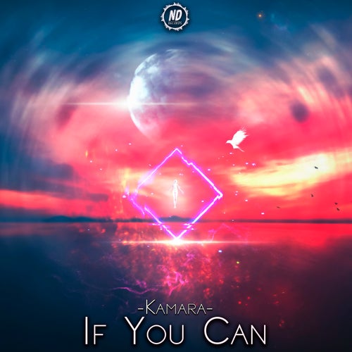 Cover art for If You Can
