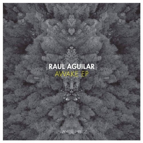 Cover art for Awake EP