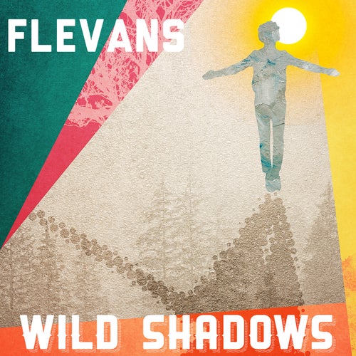 Cover art for Wild Shadows