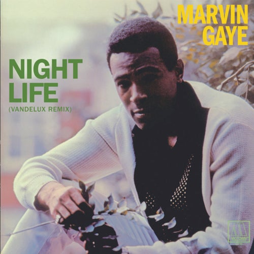 Night Life (Vandelux Extended Remix)