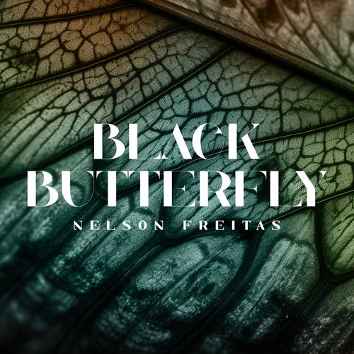 Black Butterfly