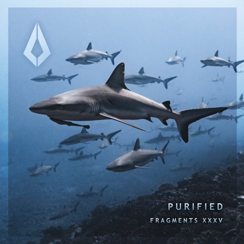 Purified Fragments XXXV [Purified Records] FLAC - Purified Records (Melodic House & Techno) Album Cover