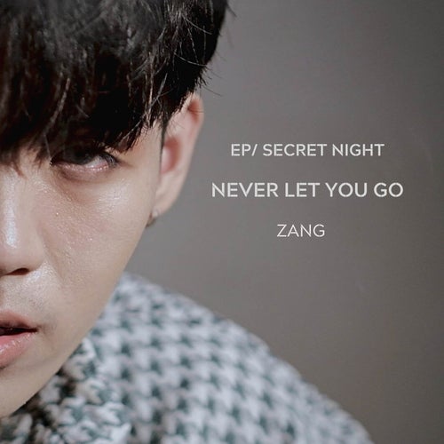 Never Let You Go