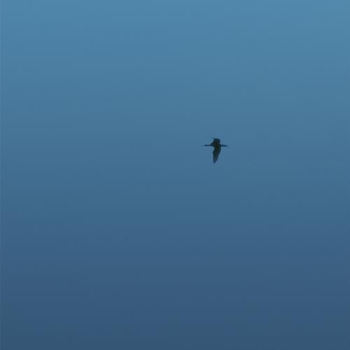 The Isle Of Wight EP
