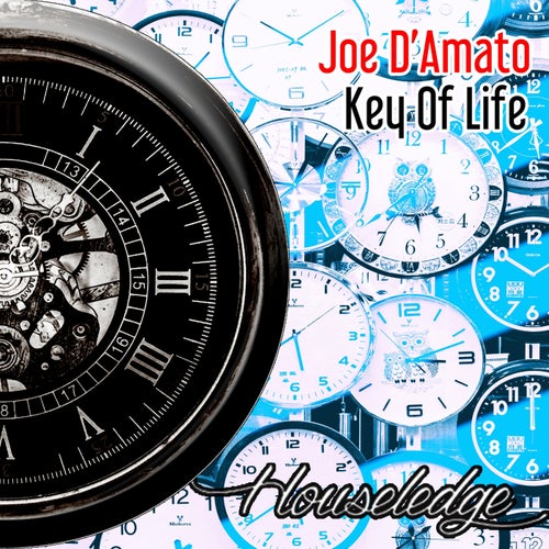 Key of Life