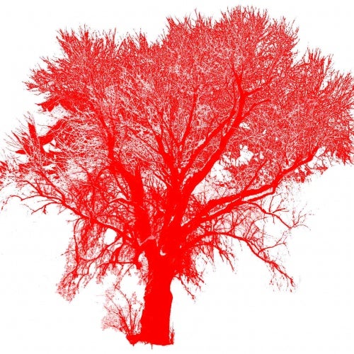 red.tree
