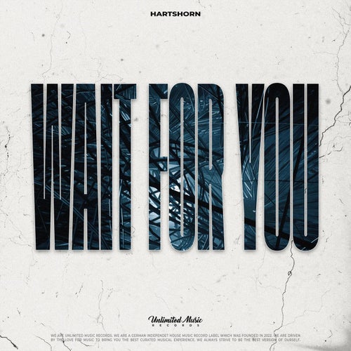 Wait For You