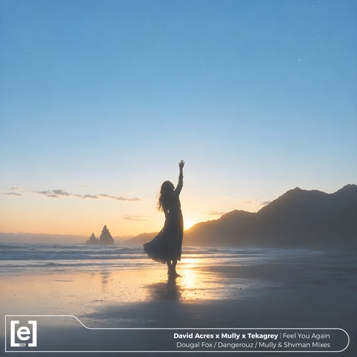 Feel You Again (Remixed)