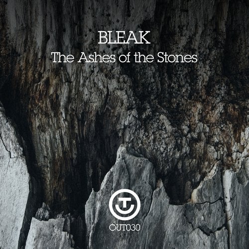 Cover art for The Ashes of the Stones