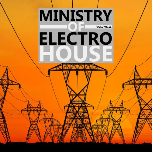 Ministry Of Electro House Volume 11