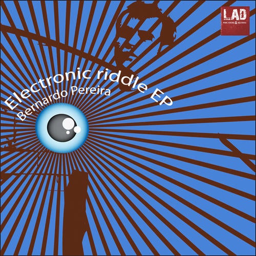 Electronic Riddle