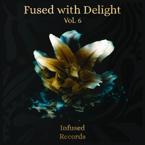 Fused with Delight Vol. 6