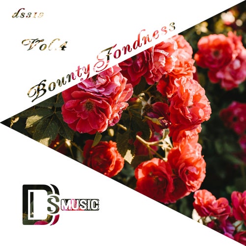 Bounty Fondness, Vol. 4 (2025) - Different Styles Music