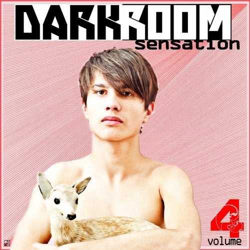 Darkroom Sensation, Vol.4 (Best Selection of House and Tech House Tracks)