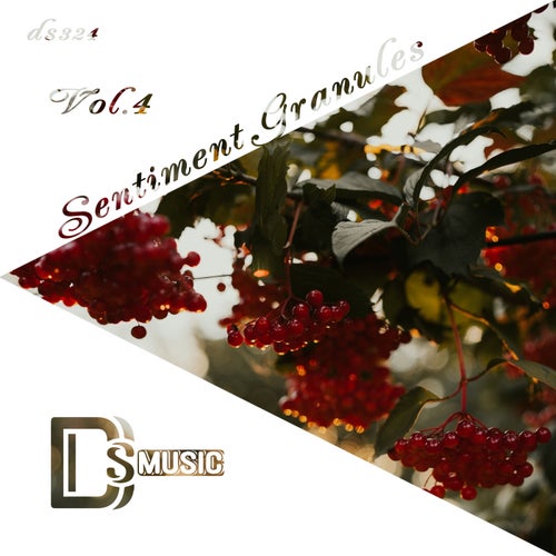 Sentiment Granules, Vol. 4