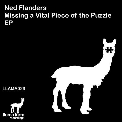 Missing A Vital Piece Of The Puzzle EP