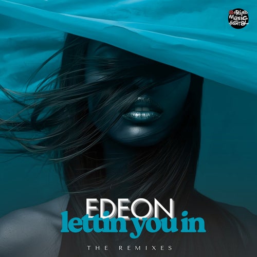 Lettin You In (The Remixes)