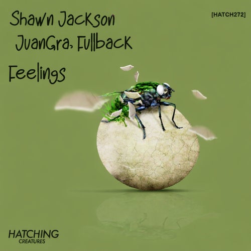 Feelings