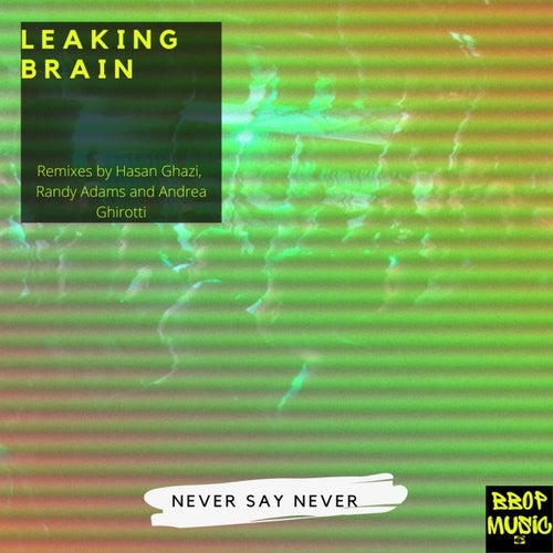 Never Say Never