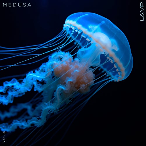 Medusa, Vol. 9