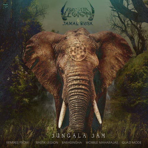 Jungala Jam RMXS