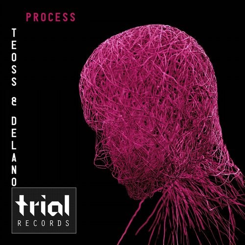 Cover art for Process