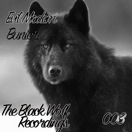 Cover art for Bunier