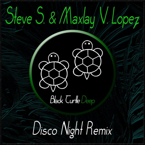 Disco Night Remix