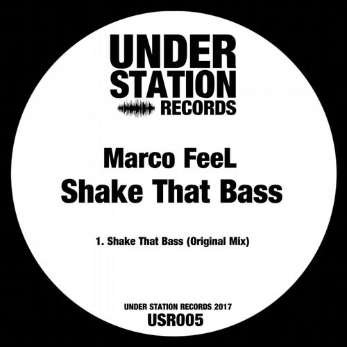 Shake That Bass