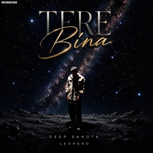 Tere Bina