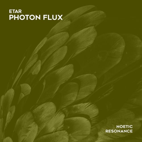 Photon Flux
