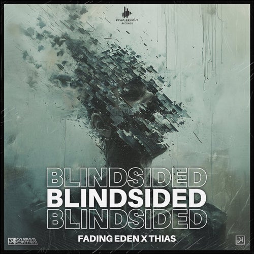 Blindsided