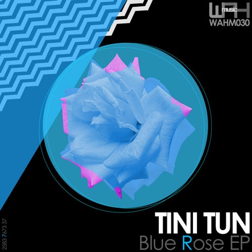 Blue Rose