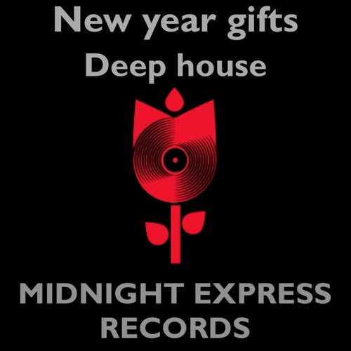 New year eve gifts Deep house