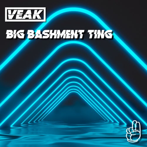 Big Bashment Ting