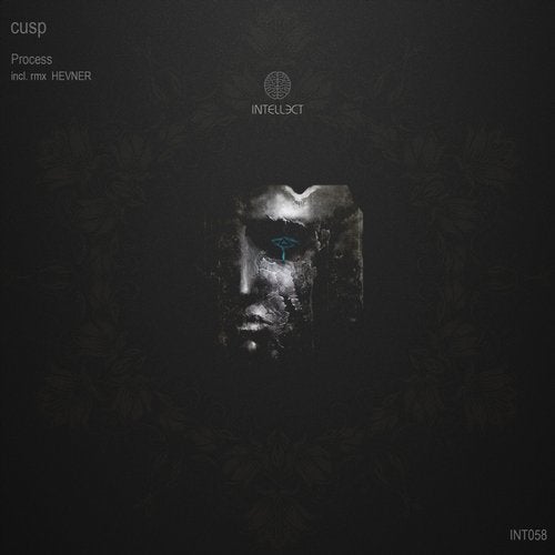 Cover art for Process