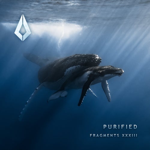Purified Fragments XXXIII [PF0224BP] - Purified Records (Organic House) Album Cover