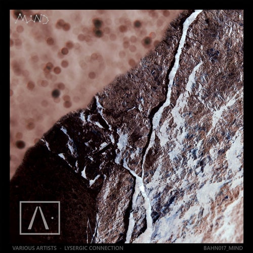 Cover art for Lysergic Connection
