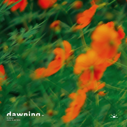 In Bloom