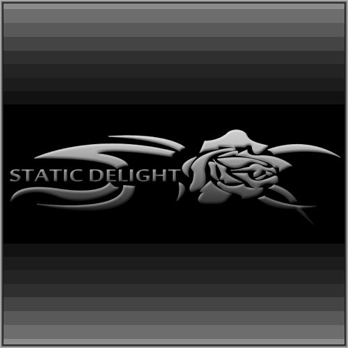 Static Delight Records