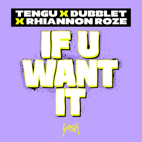If U Want It (Extended Mix)