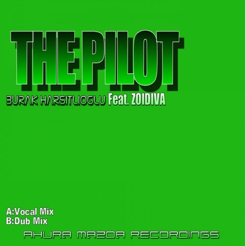 The Pilot