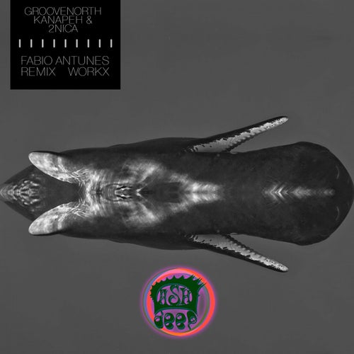 Fabio Antunes Remix Workx