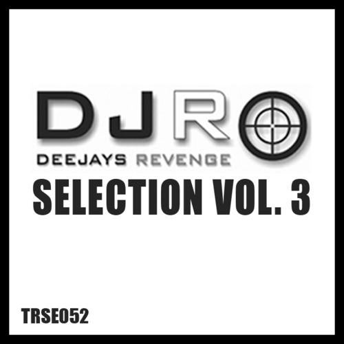 DJs Revenge Selection Volume 03