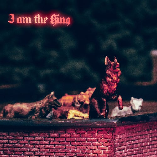 Cover art for I am the King