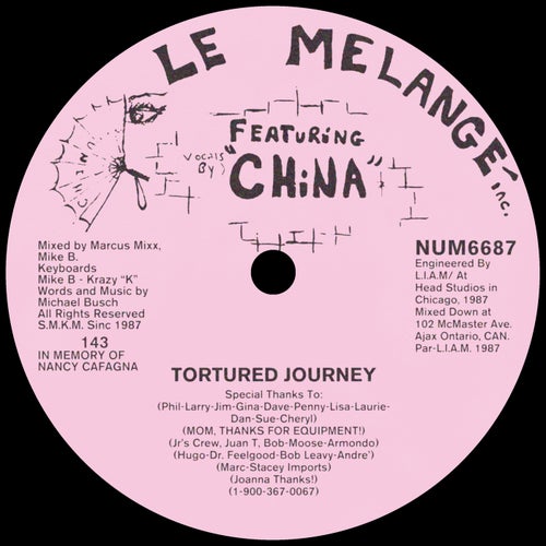 Tortured Journey