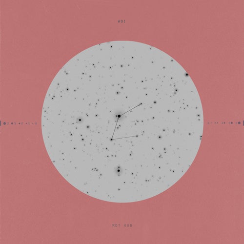 the moon and the plum blossom
